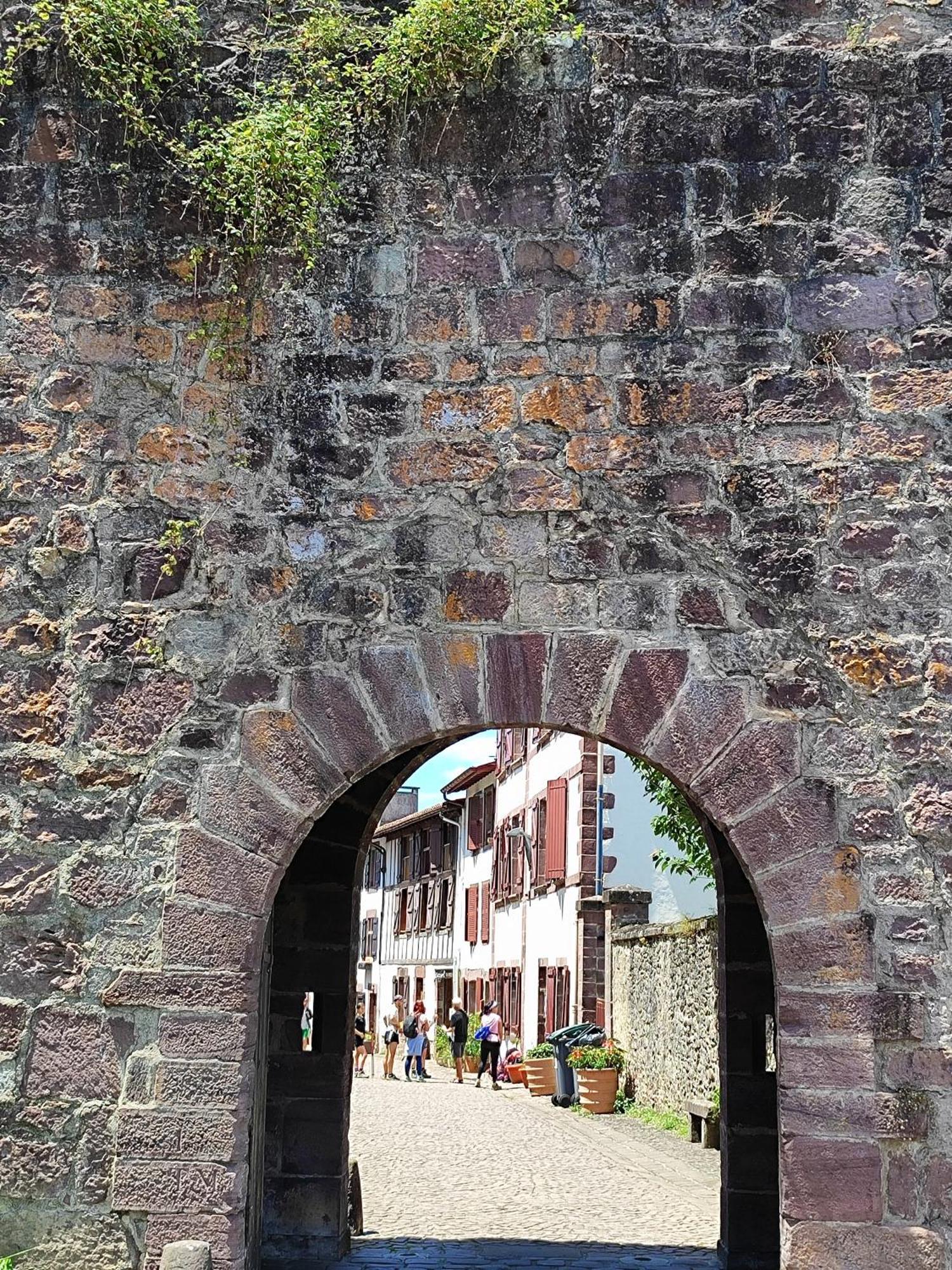 L'Auberge Du Pelerin - St Jean Pied De Port Saint-Jean-Pied-de-Port Exterior photo